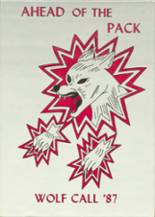 Menno Public School 1987 yearbook cover photo