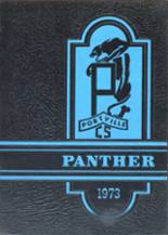 Portville High School 1973 yearbook cover photo