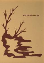 Wells-Easton High School 1964 yearbook cover photo