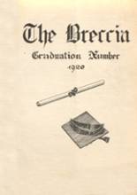 Deering High School 1920 yearbook cover photo