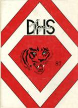 Donaldsonville High School 1987 yearbook cover photo