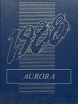 1988 Stevenson High School Yearbook from Livonia, Michigan cover image