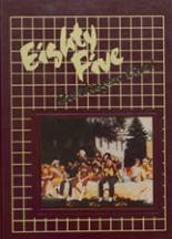1985 Brush High School Yearbook from Brush, Colorado cover image