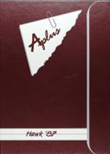 1987 Red Oak High School Yearbook from Red oak, Texas cover image