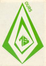 1975 Central High School Yearbook from South new berlin, New York cover image