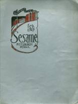 1929 South Hills High School Yearbook from Pittsburgh, Pennsylvania cover image