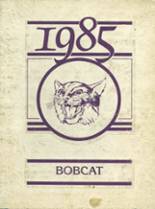 Dumas High School 1985 yearbook cover photo