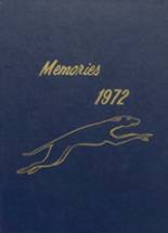 1972 Flemington High School Yearbook from Flemington, West Virginia cover image