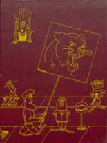 Pine Island High School 1977 yearbook cover photo