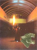 1978 Lake Catholic High School Yearbook from Mentor, Ohio cover image