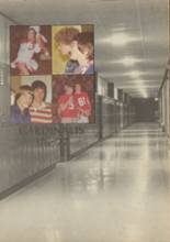 Metamora Township High School 1977 yearbook cover photo
