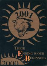 Cheylin High School 2001 yearbook cover photo