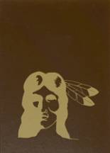 1978 Stockton High School Yearbook from Stockton, Illinois cover image