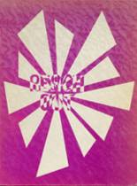 1973 Dryden High School Yearbook from Dryden, New York cover image