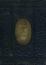 1928 Amarillo High School Yearbook from Amarillo, Texas cover image