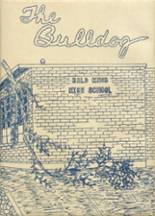 Bald Knob High School 1962 yearbook cover photo
