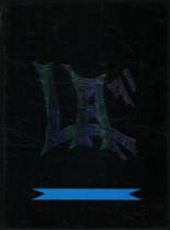 Lee Academy 1991 yearbook cover photo