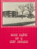 Hale R-1 High School 1980 yearbook cover photo