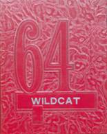 Columbus Community High School 1964 yearbook cover photo