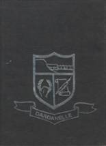 Dardanelle High School 1979 yearbook cover photo