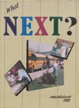 Beall Junior Senior High School 1985 yearbook cover photo