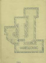 Johannesburg-Lewiston High School 1980 yearbook cover photo