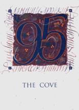 Rye Cove High School 1995 yearbook cover photo