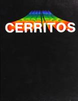Cerritos High School 1982 yearbook cover photo