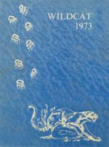 Brunswick High School 1973 yearbook cover photo