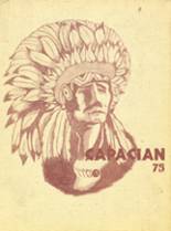Capac High School 1975 yearbook cover photo