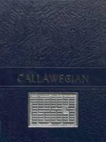 1983 South Callaway High School Yearbook from Mokane, Missouri cover image