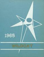 Brunswick High School 1965 yearbook cover photo
