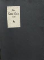 1920 Lonoke High School Yearbook from Lonoke, Arkansas cover image