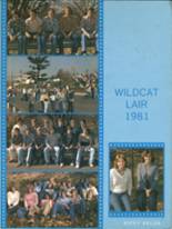 Anna-Jonesboro High School 1981 yearbook cover photo
