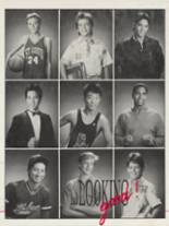 St. Louis High School 1989 yearbook cover photo