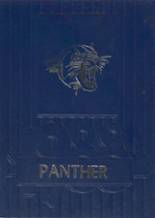 Pittsfield High School 1988 yearbook cover photo