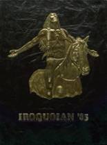 Iroquois High School 1985 yearbook cover photo