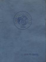 1924 St. Clair High School Yearbook from St. clair, Michigan cover image