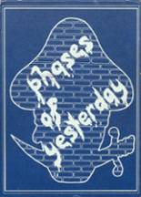 Minerva-Deland High School 1981 yearbook cover photo