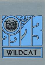 Halifax Area High School 1973 yearbook cover photo