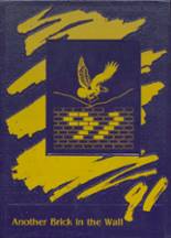 1991 Byron High School Yearbook from Byron, Michigan cover image