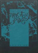 1995 Hopkins Academy Yearbook from Hadley, Massachusetts cover image