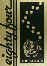 1984 Union High School Yearbook from Dugger, Indiana cover image