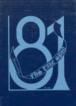 1981 Fulton High School Yearbook from Middleton, Michigan cover image