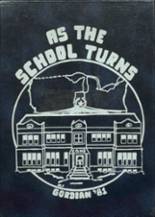 Cerro Gordo High School 1981 yearbook cover photo