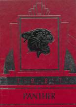 1987 Collinsville High School Yearbook from Collinsville, Alabama cover image