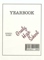 Greely High School 1989 yearbook cover photo