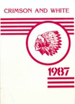 Afton Central School 1987 yearbook cover photo