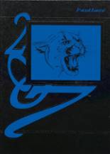 North Penn Junior-Senior High School 2007 yearbook cover photo