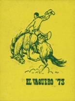 Livermore High School 1973 yearbook cover photo